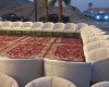 تاجير كنب فاخر بالرياض